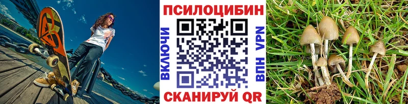 Псилоцибиновые грибы GOLDEN TEACHER  где купить наркоту  Мамадыш 