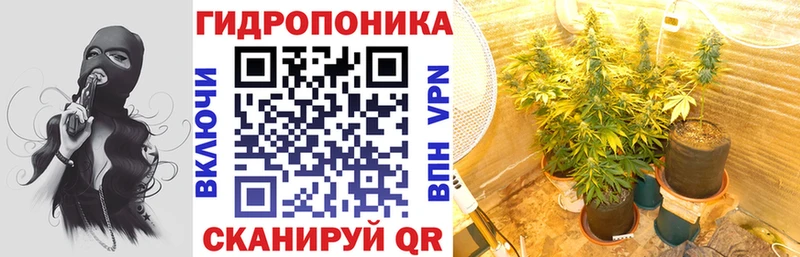 Марихуана конопля  Мамадыш 